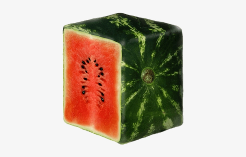 Sliced Square Watermelon Png - Square Watermelon, transparent png #83555