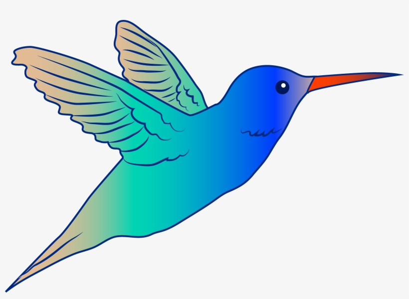 Cute Parrot Clipart Flying Bird Hummingbird Illustration - Hummingbird Drawing Clip Art, transparent png #83585