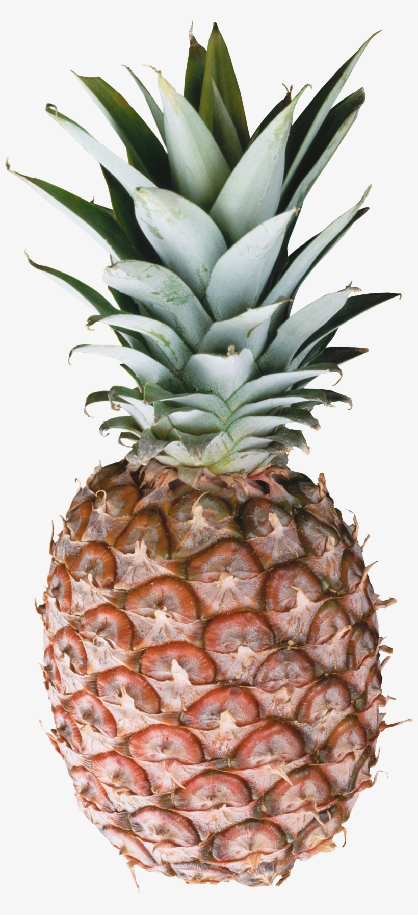 Pineapple Png Image, Free Download - Pineapple Png, transparent png #83893