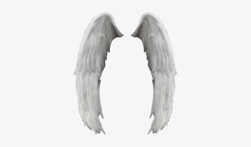 Angel Wings Png - 3d Angel Wings Png, transparent png #84256