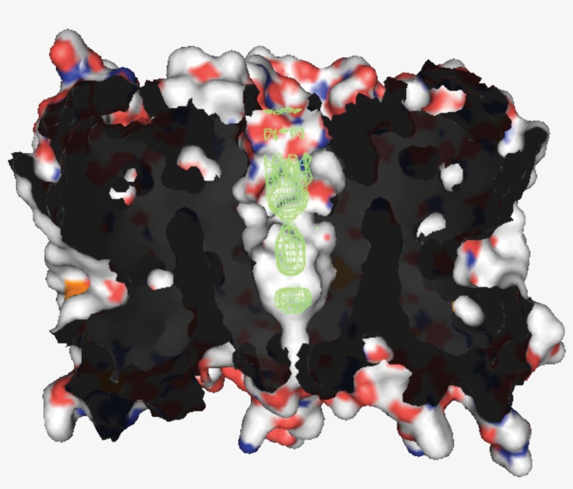 Aquaporin Z - Aquaporin Quaternary Structure, transparent png #84435
