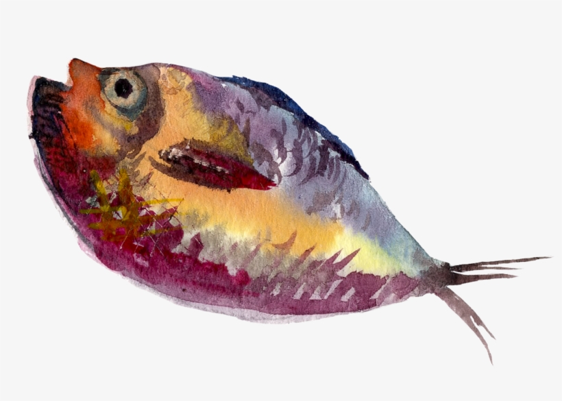 Vector Freeuse Library Painting Illustration Water - Fish Painting Png, transparent png #84505