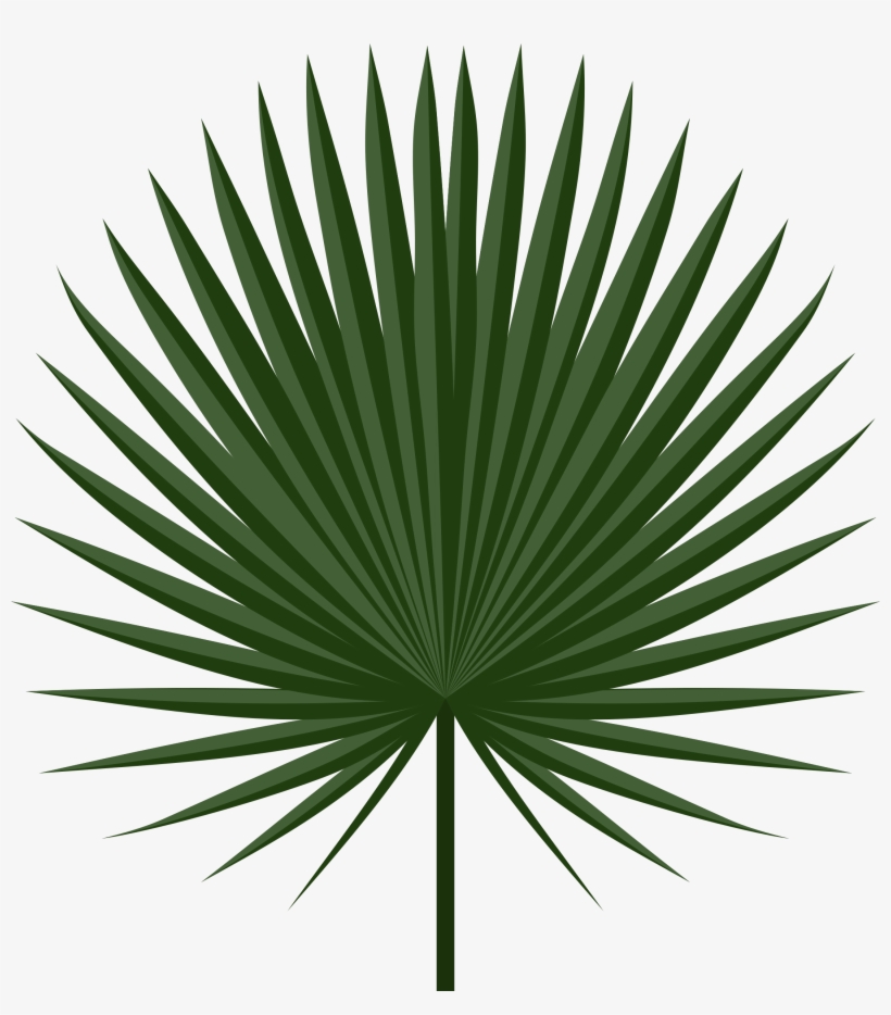 Sabal Leaf Icons Png - Palmleaf Png, transparent png #84612