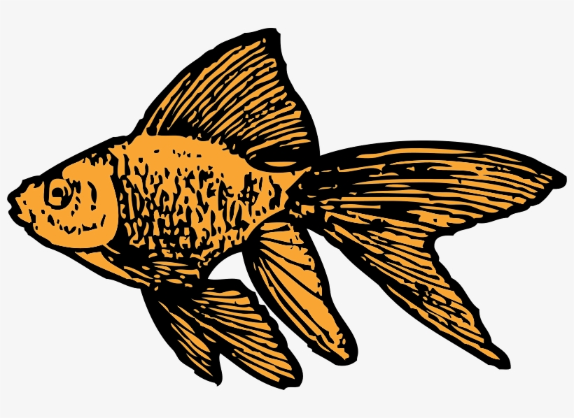 Goldfish - Goldfish Clip Art, transparent png #85132