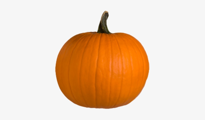 Hq Pumpkin Png Transparent Pumpkin - Pumpkin Png, transparent png #85647