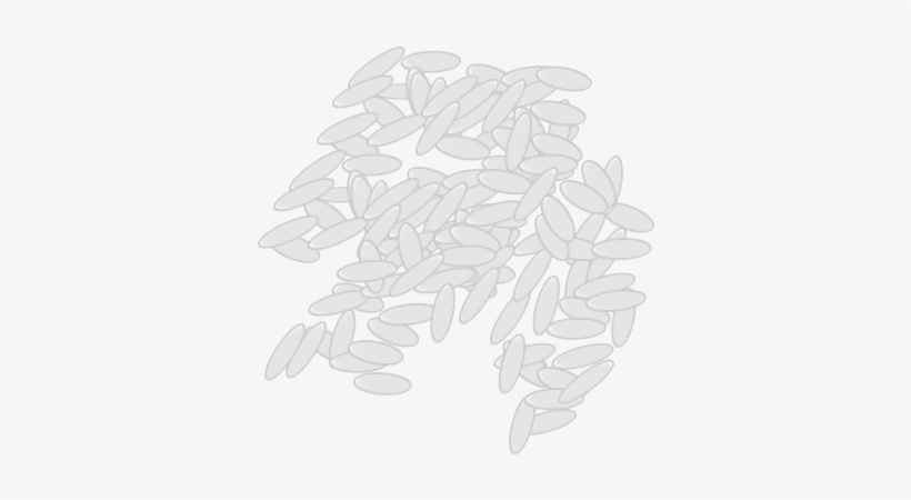 Rice - Sketch, transparent png #85724
