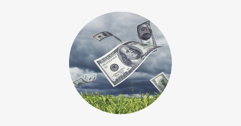 The Money Magnet Exercise - Entrepreneurs Guide To Business, transparent png #86045