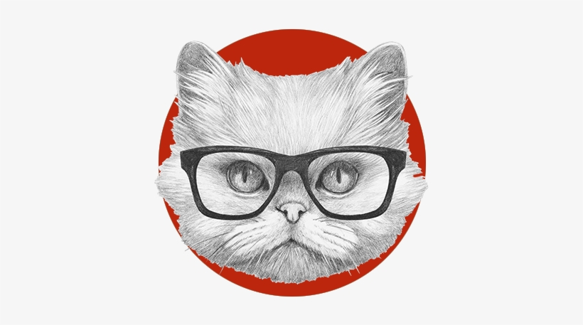 Cat Grooming Regina3 - Gato Persa Con Gafas, transparent png #86265