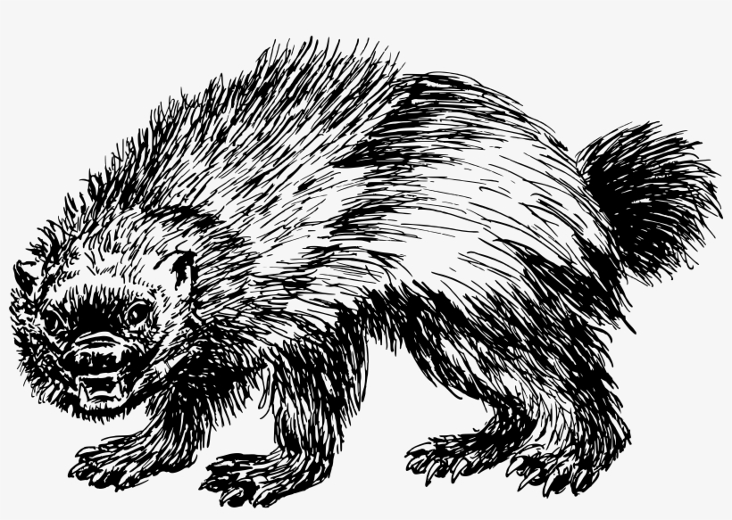 Wolverine Png, transparent png #86372