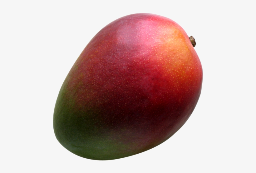 Download Fresh Mango Fruit Png Image - Mango, transparent png #86579