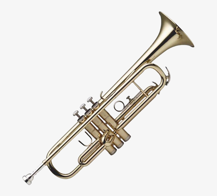 Trumpet Png, transparent png #86597
