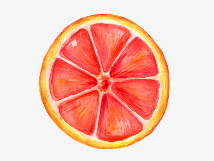 Icecream Watercoloe Grapefruit Portfolio, transparent png #86616