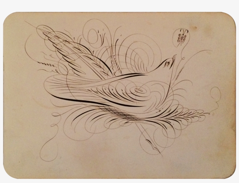 Dove And Butterfly American Circa 1830-40 - Sketch, transparent png #86693