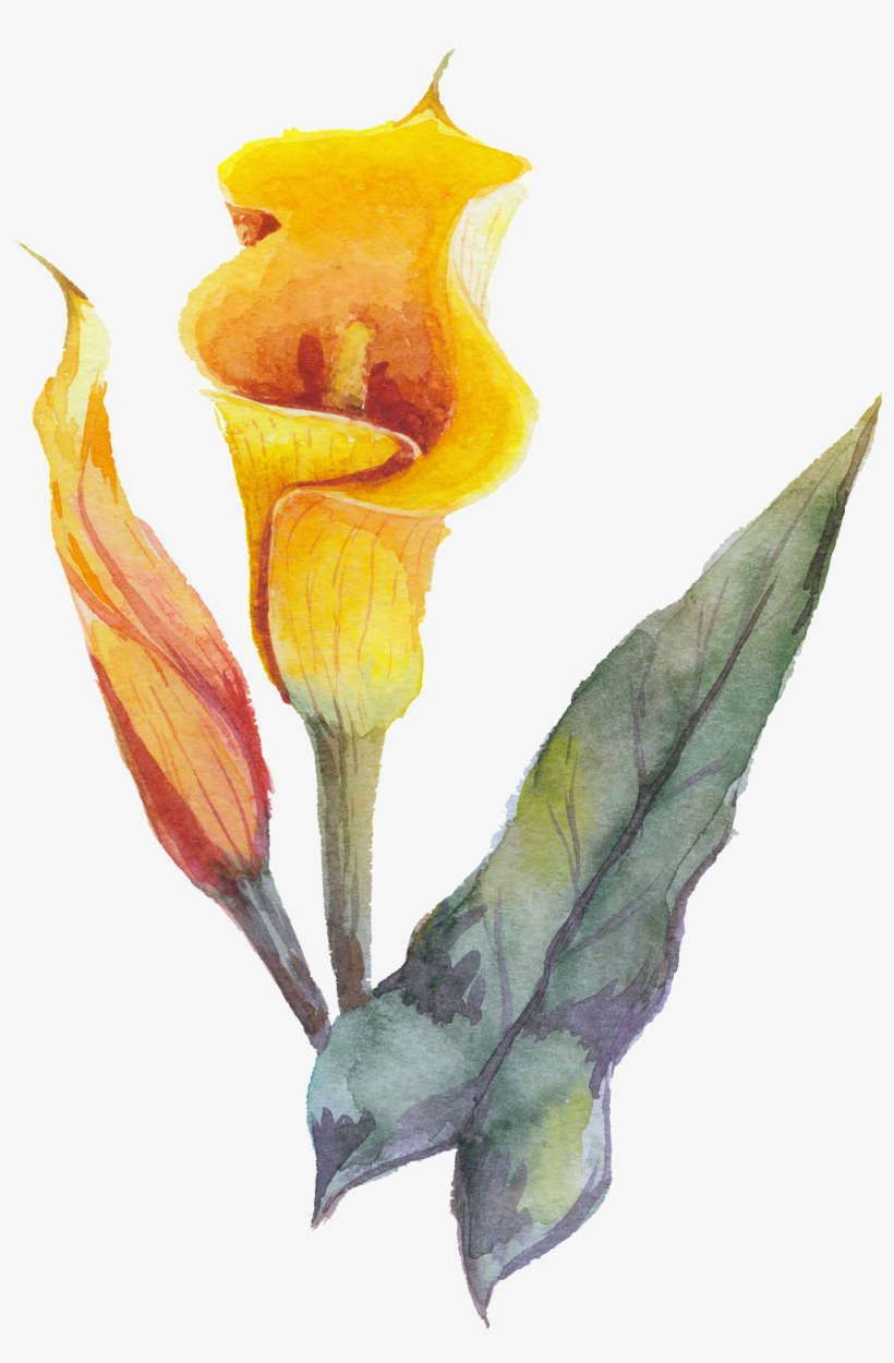 Yellow Flower - Free Transparent PNG Download - PNGkey