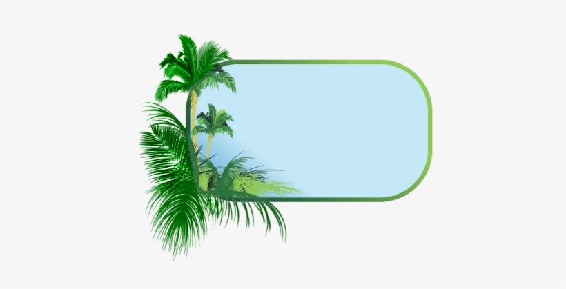Coconut Clipart Border - Tree Border Clipart, transparent png #87022