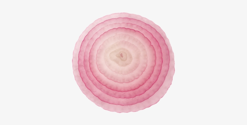 Onion Slice Png File - Onion Slice Png, transparent png #87047