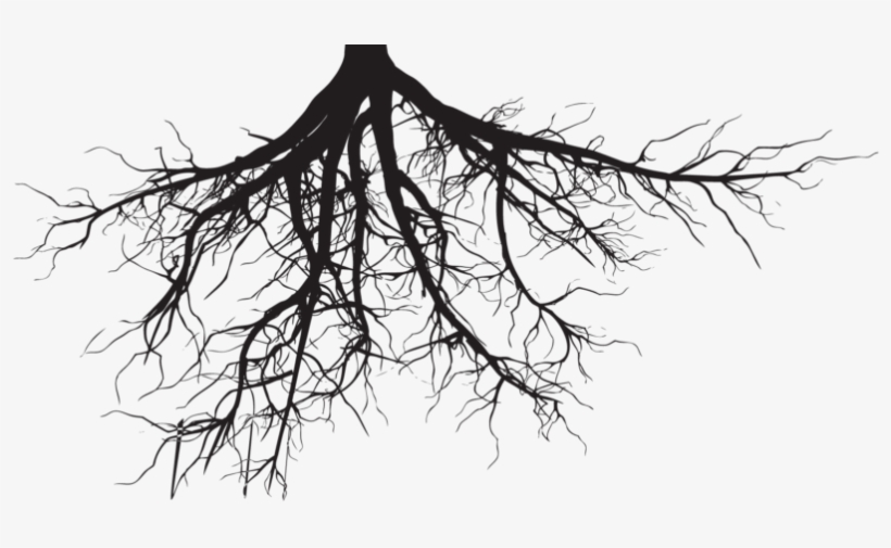 Soil And Roots Png Clipart Black And White Download - Tree Roots