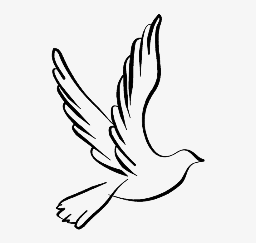 White Dove Clipart Dove Open Wing - Dove Line Drawing, transparent png #87165