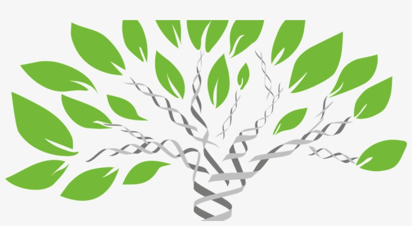 Have A Dna Test Or, Maybe Not - Dna Barcoding In Plant, transparent png #87239