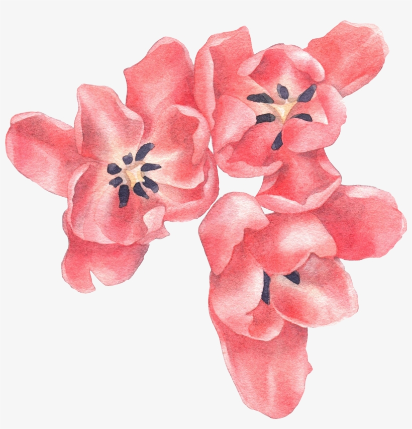 My Story - Eleven, transparent png #87402