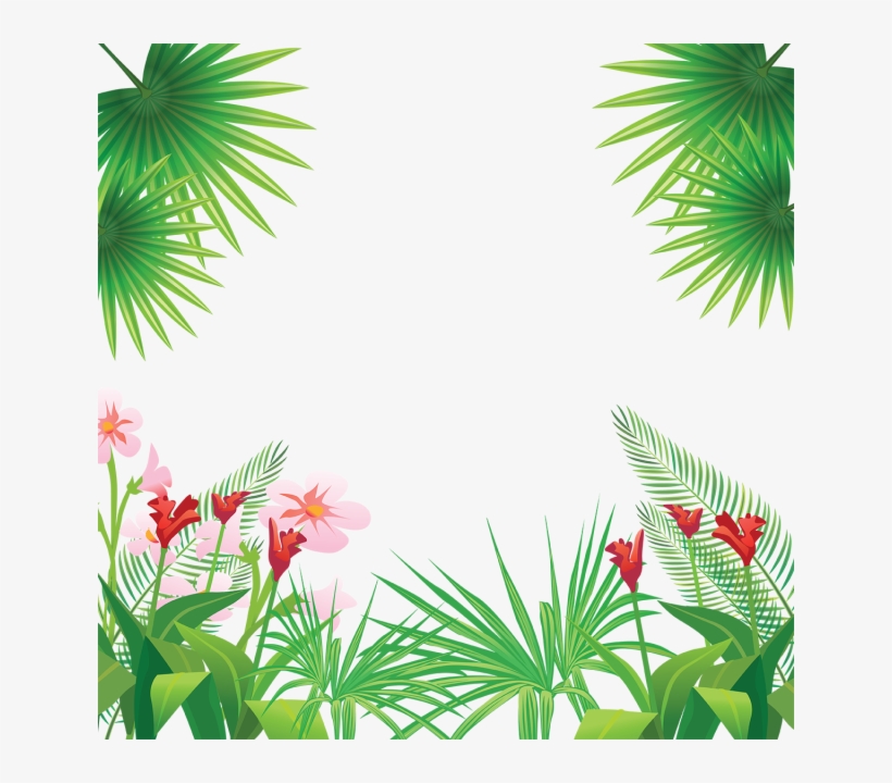 Tropical Leaves Png Images - Tropical Frame Png, transparent png #87433