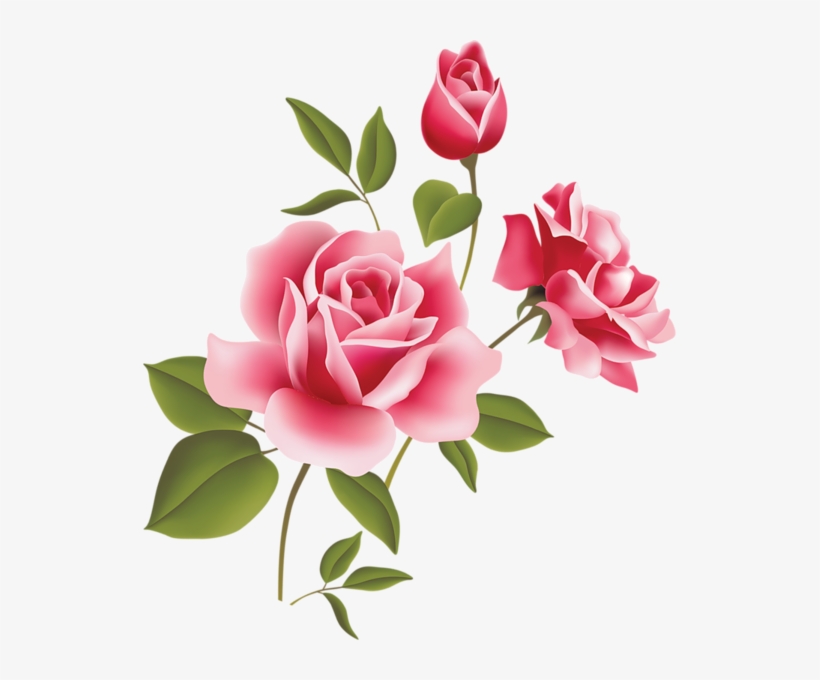 Flores Vector Transparent - Pink Flower Rose Png - Free Transparent PNG  Download - PNGkey