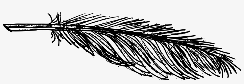 Free Download - Pond Pine, transparent png #87631