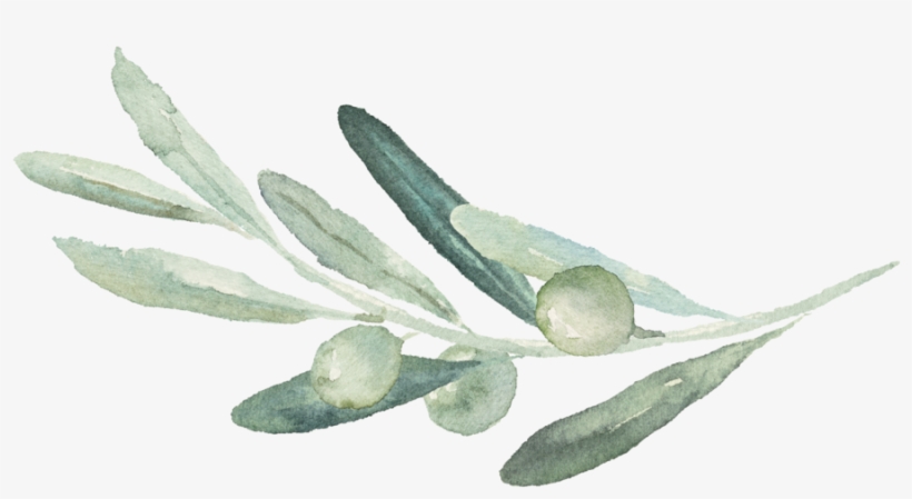 Olive Branch - Christian Art Gift Cutting Board Glass Large Always, transparent png #87654