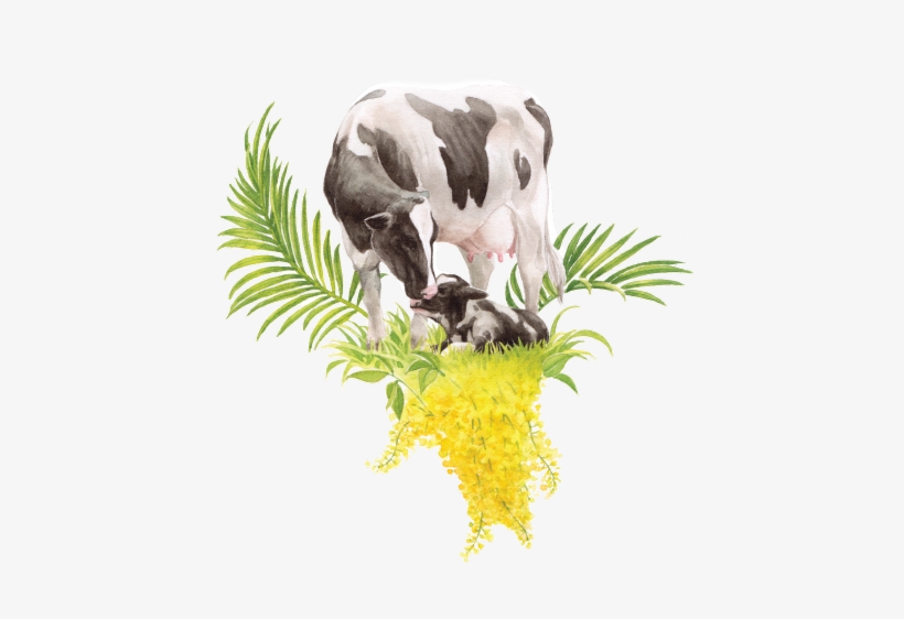 Hatsun Agro Products Ltd, transparent png #88096