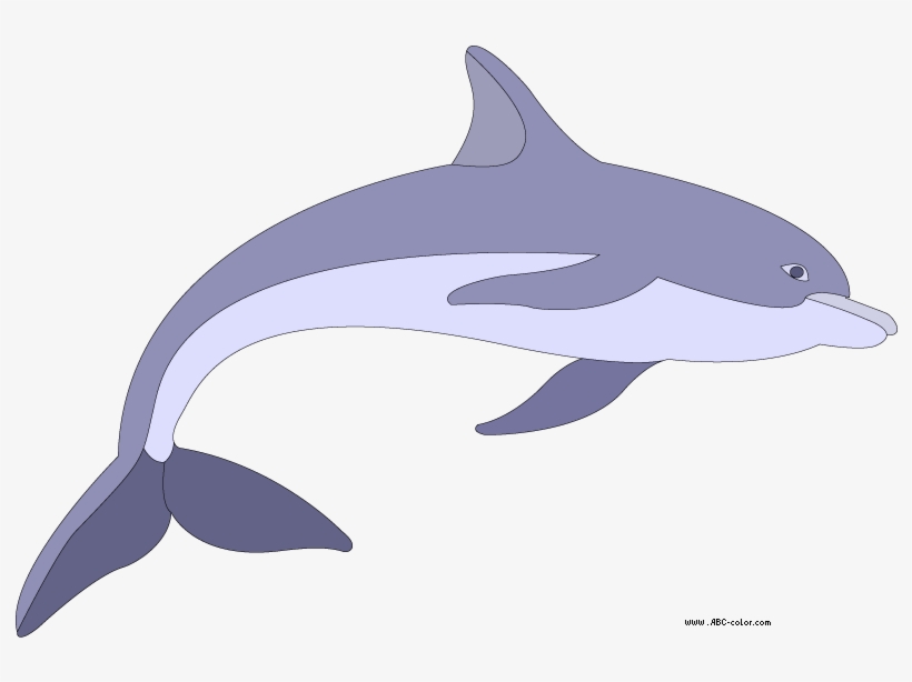 Дельфин Рисунок, transparent png #88277