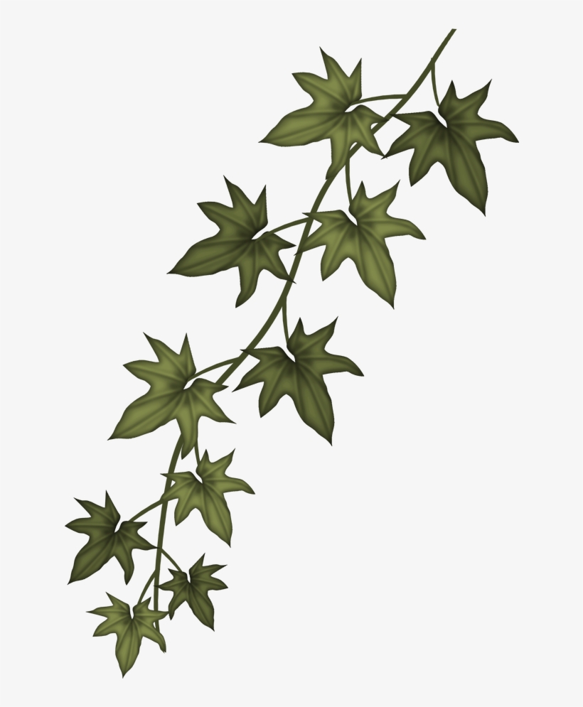 Ivy Clip Art Free - Sizzix Garden Greens Thinlits Dies, transparent png #88329