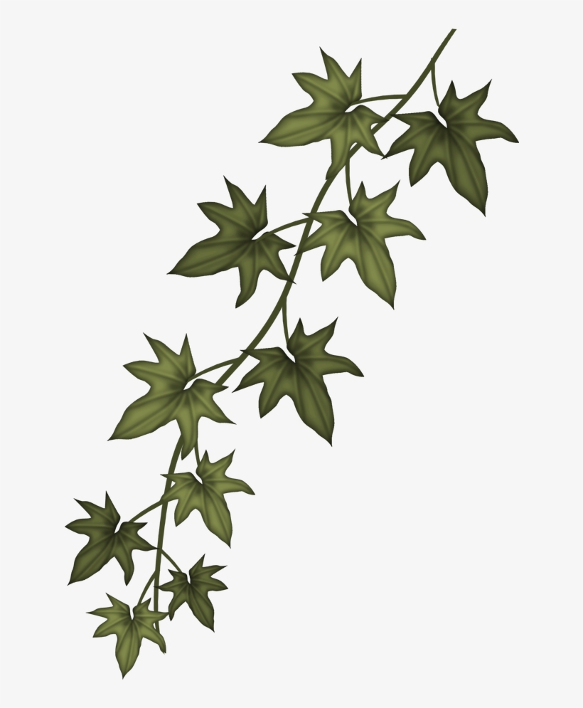 Ivy Clip Art Free - Sizzix Garden Greens Thinlits Dies, transparent png #88329