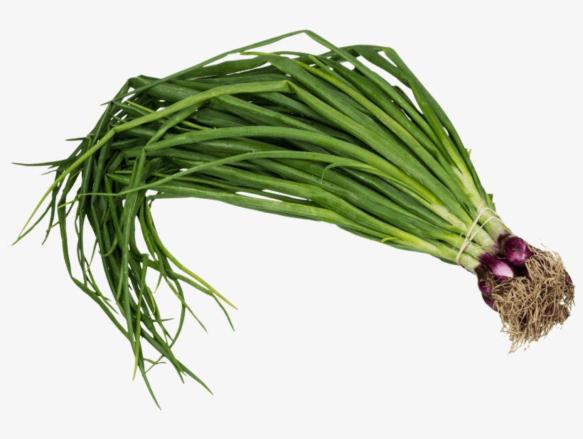 Free Png Scallion Spring Onion Png Images Transparent - Png Images Of Spring Onion, transparent png #88459