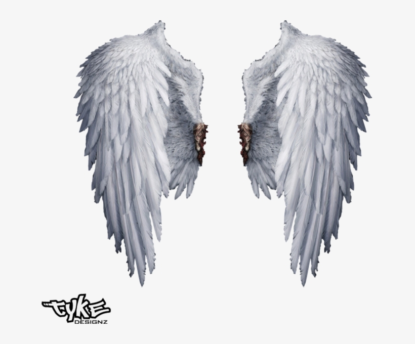 Angel Wings Png Transparent - Real White Angel Wings Png, transparent png #88614