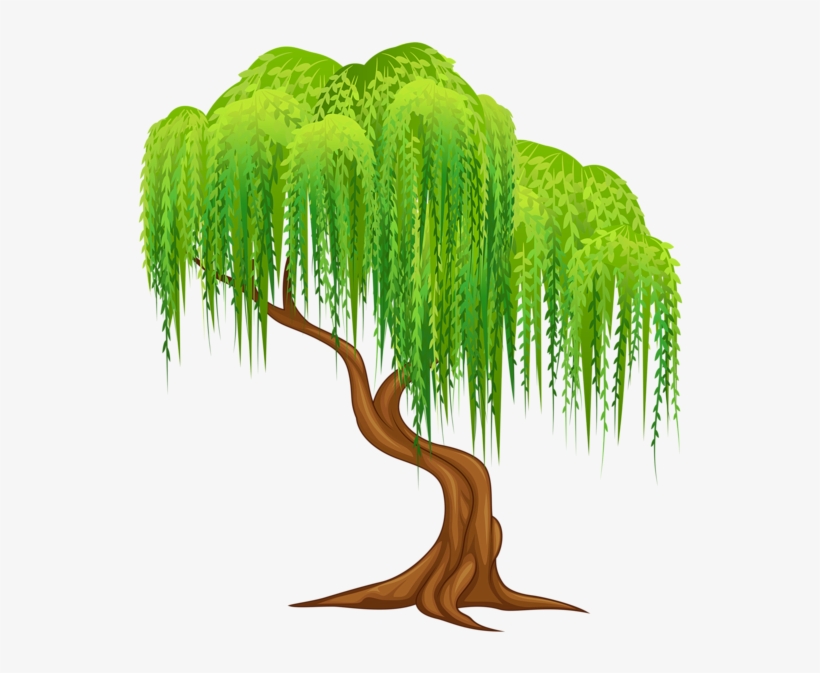 Tree Clipart - Weeping Willow Tree Clipart, transparent png #89360