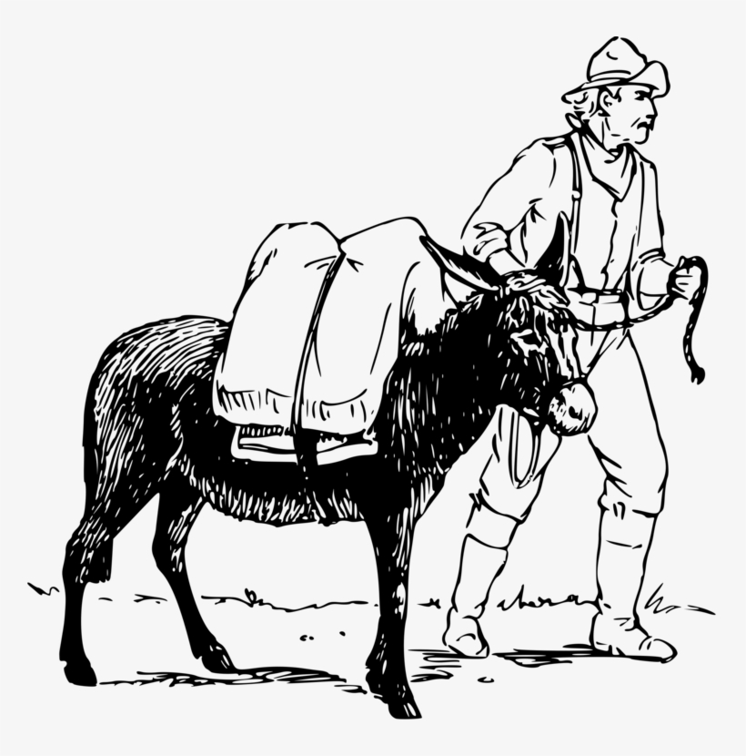 Donkey Derby Days Mule Drawing Watercolor Painting - Donkey And Man Drawing, transparent png #89519