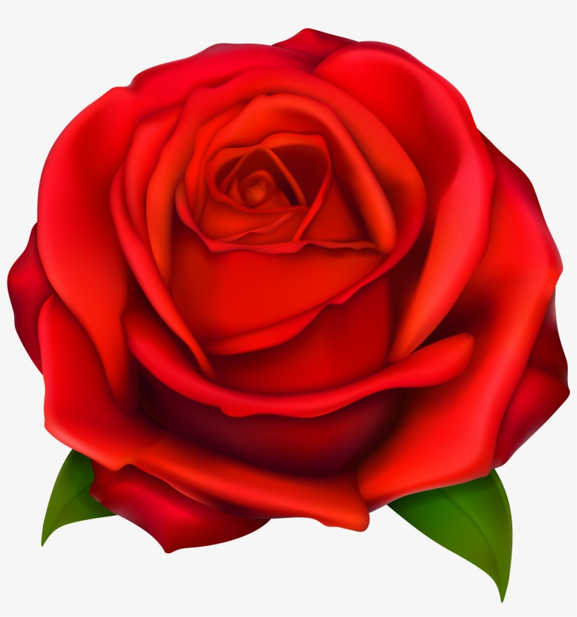 Clipart Library Stock Image Of Clip Art Red Roses Images, transparent png #89590