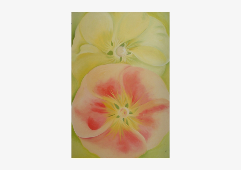 Holly Hocks Painting - Begonia, transparent png #89649
