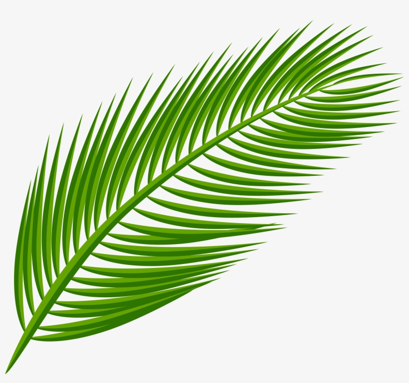 Green Leaf PNG Clipart​  Gallery Yopriceville - High-Quality Free Images  and Transparent PNG Clipart