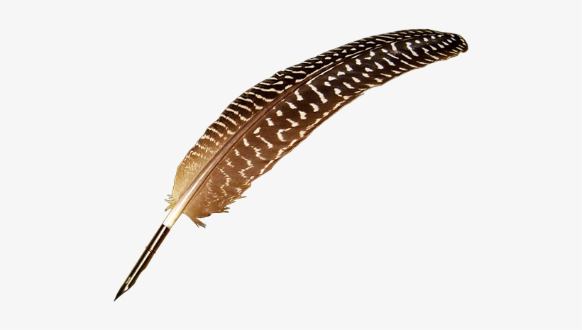 Picture Suggestion For Quill Pen Png - Umbrella, transparent png #800434