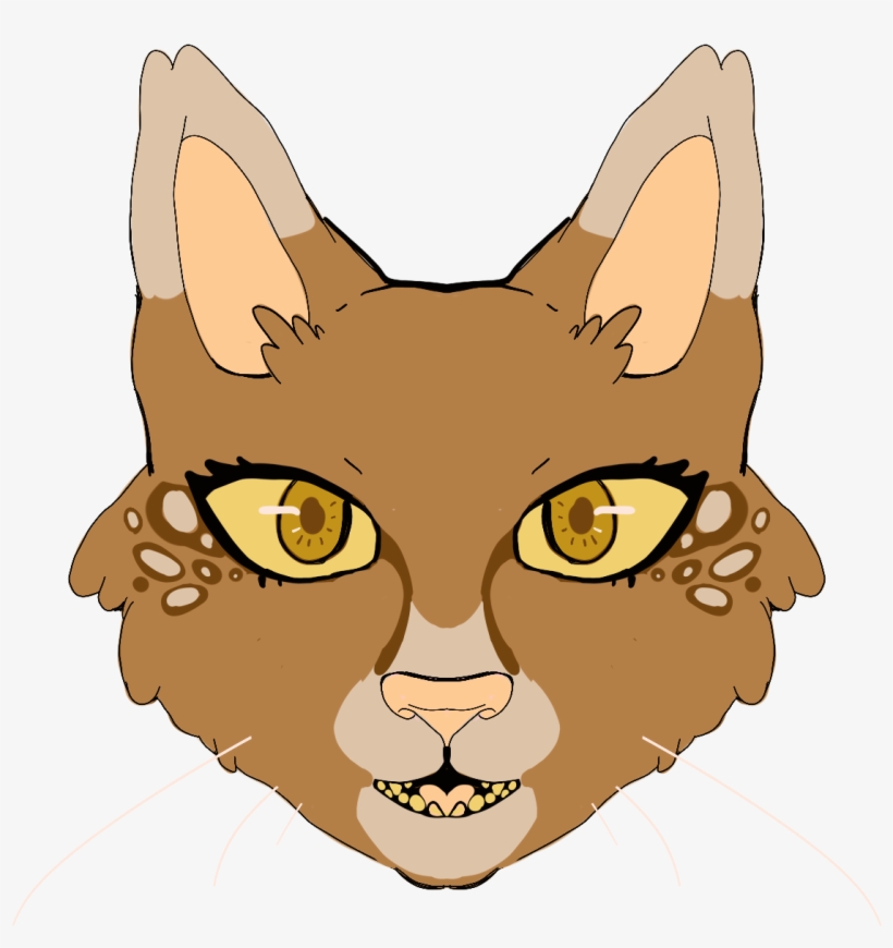 Recent Images - Abyssinian, transparent png #800850