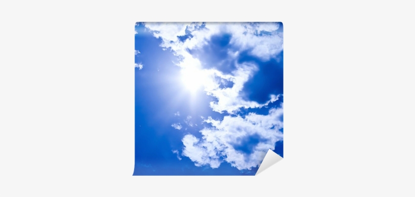 Stock Photography, transparent png #800851