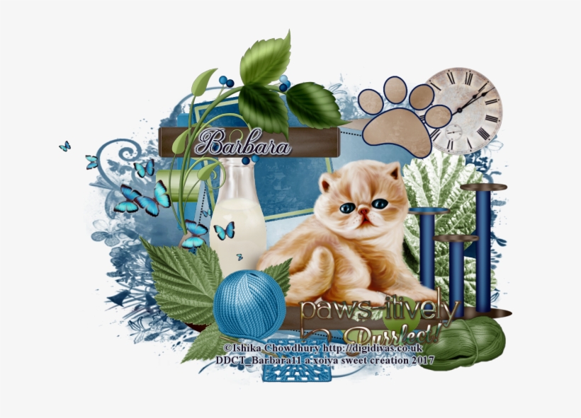 Nala Kitty - Kitten, transparent png #800934