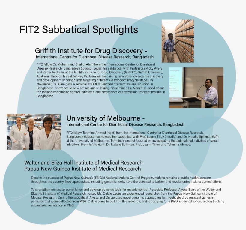Fit2 Sabbatical Spotlights-01 - Brochure, transparent png #801266