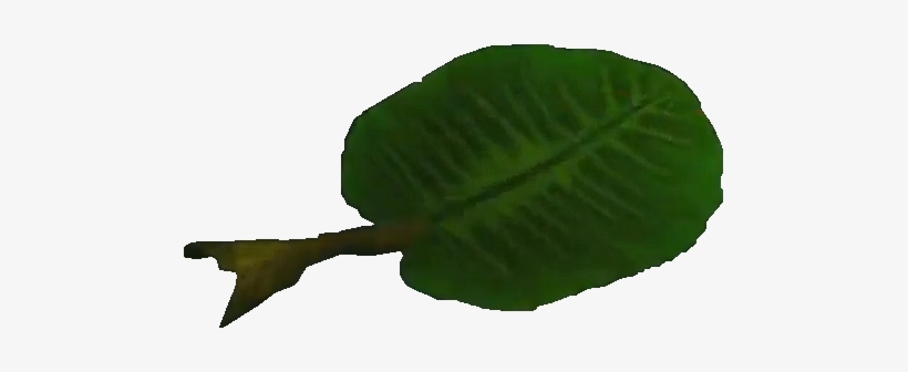 Crash Bandicoot Leaf - Angel Tube Station, transparent png #801899