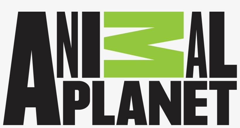 Animal Planet Logos Download Usps Logo Transparent - Animal Planet Logo 2017, transparent png #802305