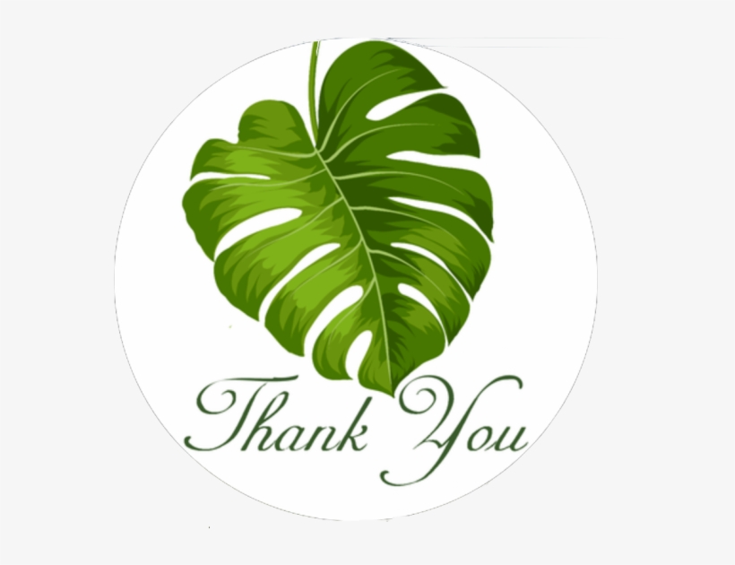 Banana Leaves Smilemail Perfect Package Kit - Symphonic Concert 2002 With Tokyo City Philharmoni, transparent png #802338