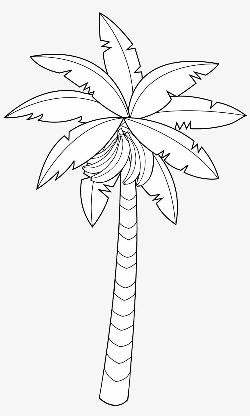 Banana Tree Clipart - Coloring Book, transparent png #802835