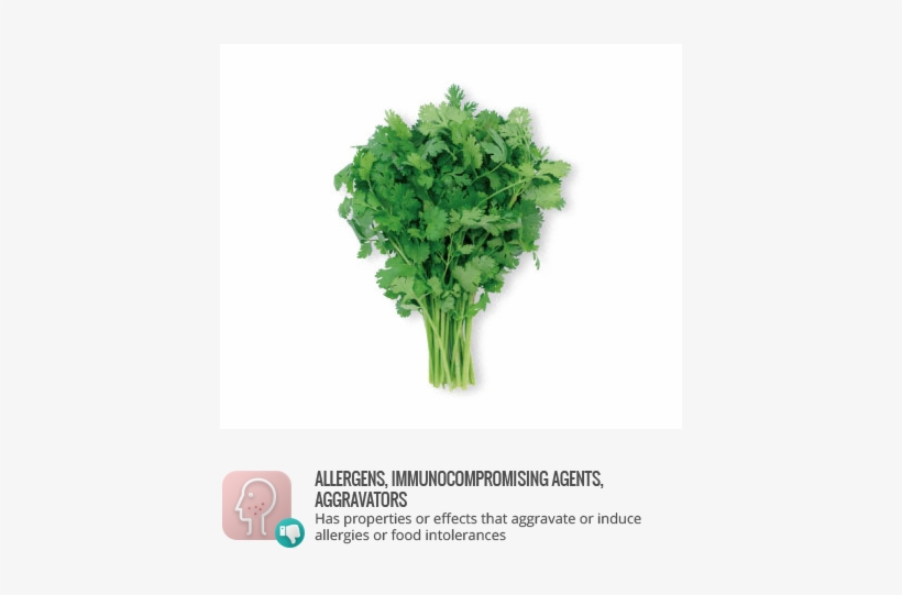 Allergens - Benefits Of Parsley, transparent png #803119