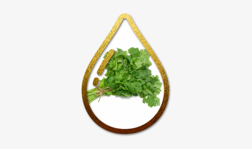 Mint Drop, transparent png #803252